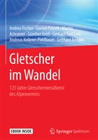 Martin Achrainer, Gebhard Bendler, Andre Fischer, Andrea Fischer, Günther Groß, Andreas Kellerer-Pirklbauer... - Gletscher im Wandel