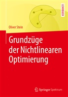 Oliver Stein, Oliver (Prof. Dr.) Stein - Grundzüge der Nichtlinearen Optimierung