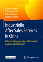 Helene Blumer, Helene u a Blumer, Jaqueline Keller, Ralp Lehmann, Ralph Lehmann, Marku Prandini... - Industrielle After Sales Services in China