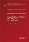 Johanna Fournier, Lukas Heckendorn Urscheler - Regulating Human Rights Due Diligence for Corporations
