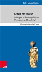 Peter Strohschneider, Hein Fassmann, Heinz Faßmann - Arbeit am Status
