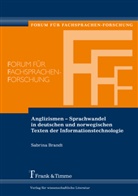 Sabrina Brandt - Anglizismen - Sprachwandel in deutschen und norwegischen Texten der Informationstechnologie