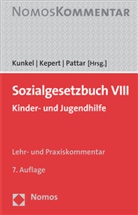 Ja Kepert, Jan Kepert, Peter-Christian Kunkel, Andreas Kurt Pattar, Andreas Kurt Pattar - Sozialgesetzbuch (SGB) VIII, Lehr- und Praxiskommentar
