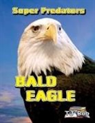 Tj Rob - Bald Eagle