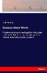 Emil Kuichling - Syracuse Water Works