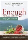 Adam Hamilton - Enough Stewardship Program Guide With Flash Drive