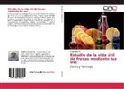 Ángel Beltrán - Estudio de la vida útil de fresas mediante luz uvc