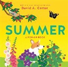 David Carter, David A. Carter - Summer