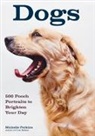Michelle Perkins - Dogs