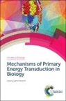 Marten Wikstroem, Marten (University of Helsinki Wikstroem, Wikstrom, Marten Wikstrom, Marten (University of Helsinki Wikstrom, Prof. Marten (University of Helsinki Wikstrom... - Mechanisms of Primary Energy Transduction in Biology