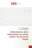Mawuli N'tifaf Amewuame, Mawuli N'tifafa Amewuame, Sanouss Atta, Sanoussi Atta, Bouraima, Mouawiyatou Bouraima - Déterminants de la malnutrition en milieu urbain: Cas de Lomé (Togo)