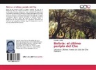 Alejandro Sainz - Bolivia: el último periplo del Che