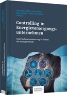 Andreas Hoffjan, Jen Meier, Jens Meier, Julia Sartor, Julia Ulrike Sartor, Julia Sartor u a... - Controlling in Energieversorgungsunternehmen
