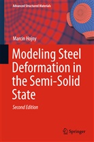 Marcin Hojny - Modeling Steel Deformation in the Semi-Solid State