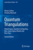 Maur Carfora, Mauro Carfora, Annalisa Marzuoli - Quantum Triangulations