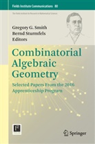 Gregor G Smith, Gregory G Smith, Gregory G. Smith, Sturmfels, Sturmfels, Bernd Sturmfels - Combinatorial Algebraic Geometry