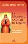 Angelo M. Tentori - La Madonna a Ghiaie di Bonate? Una proposta di riflessione