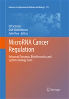Ulf Schmitz, Julio Vera, Ola Wolkenhauer, Olaf Wolkenhauer - MicroRNA Cancer Regulation