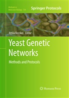 Attil Becskei, Attila Becskei - Yeast Genetic Networks