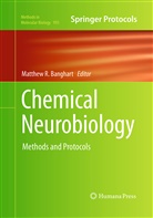 Matthew R. Banghart, Matthe R Banghart, Matthew R Banghart - Chemical Neurobiology
