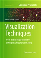 Emili Badoer, Emilio Badoer - Visualization Techniques