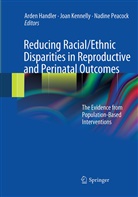 Arden Handler, Joa Kennelly, Joan Kennelly, Nadine Peacock - Reducing Racial/Ethnic Disparities in Reproductive and Perinatal Outcomes