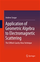 Andrew Seagar - Application of Geometric Algebra to Electromagnetic Scattering
