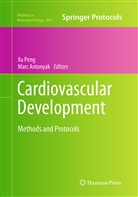 Antonyak, Antonyak, Marc Antonyak, X Peng, Xu Peng - Cardiovascular Development