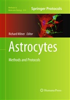 Richar Milner, Richard Milner - Astrocytes