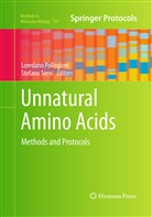 Loredan Pollegioni, Loredano Pollegioni, Servi, Servi, Stefano Servi - Unnatural Amino Acids