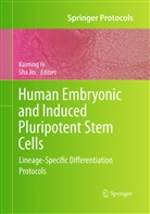 JIN, Jin, Sha Jin, Kaimin Ye, Kaiming Ye - Human Embryonic and Induced Pluripotent Stem Cells