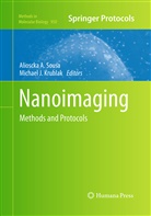 Aliosck A Sousa, Alioscka A Sousa, J Kruhlak, J Kruhlak, Michael J. Kruhlak, Alioscka A. Sousa - Nanoimaging