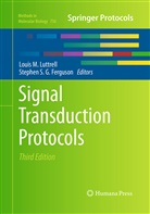Stephen S. G. Ferguson, Louis M. Luttrell, Loui M Luttrell, Louis M Luttrell, S G Ferguson, S G Ferguson - Signal Transduction Protocols