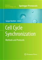 Gaspa Banfalvi, Gaspar Banfalvi - Cell Cycle Synchronization