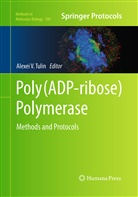 Alexei V Tulin, Alexei V. Tulin, Alexe V Tulin, Alexei V Tulin - Poly(ADP-ribose) Polymerase