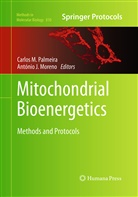 J Moreno, J Moreno, Carlo M Palmeira, Carlos M Palmeira, António J. Moreno, Carlos M. Palmeira - Mitochondrial Bioenergetics