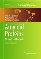 Migue Calero, Miguel Calero, María Gasset, Einar M. Sigurdsson - Amyloid Proteins