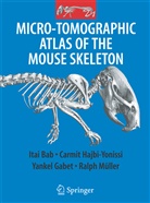 Itai Bab, Itai A Bab, Itai A. Bab, Yankel Gabet, Yankel et Gabet, Carmi Hajbi-Yonissi... - Micro-Tomographic Atlas of the Mouse Skeleton