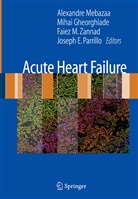 Miha Gheorghiade, Mihai Gheorghiade, Alexandre Mebazaa, Joseph E. Parrillo, Faiez Zannad, Faiez M. Zannad... - Acute Heart Failure