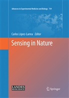 Carlo López-Larrea, Carlos López-Larrea - Sensing in Nature