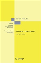 Cédric Villani, Cédric Villani - Optimal Transport