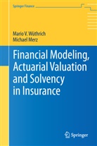 Michael Merz, Mario Wüthrich, Mario V Wüthrich, Mario V. Wüthrich - Financial Modeling, Actuarial Valuation and Solvency in Insurance