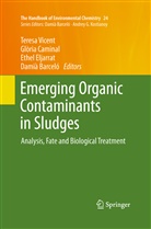 Damià Barceló, Glòri Caminal, Glòria Caminal, Ethel Eljarrat, Ethel Eljarrat et al, Teresa Vicent - The Handbook of Environmental Chemistry - 24: Emerging Organic Contaminants in Sludges