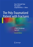 Joseph Borrelli, Jr. Borrelli, Joseph Borrelli Jr, Hans-Christoph Pape, Ro Sanders, Roy Sanders - The Poly-Traumatized Patient with Fractures