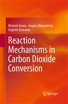 Michel Aresta, Michele Aresta, Angel Dibenedetto, Angela Dibenedetto, Euge Quaranta, Eugenio Quaranta - Reaction Mechanisms in Carbon Dioxide Conversion