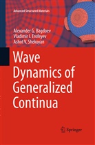 Alexander Bagdoev, Alexander G Bagdoev, Alexander G. Bagdoev, Vladimir Erofeyev, Vladimir I Erofeyev, Vladimir I. Erofeyev... - Wave Dynamics of Generalized Continua