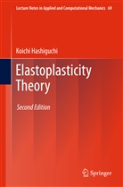 Koichi Hashiguchi - Elastoplasticity Theory