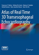 Stefano De Castro, Stefan de Castro, Stefano de Castro, Francesco Faletra, Francesco F Faletra, Francesco F. Faletra... - Atlas of Real Time 3D Transesophageal Echocardiography