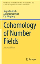 Jürge Neukirch, Jürgen Neukirch, Alexander Schmidt, Kay Wingberg - Cohomology of Number Fields