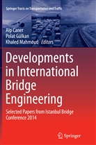 Alp Caner, Pola Gülkan, Polat Gülkan, Khaled Mahmoud - Developments in International Bridge Engineering